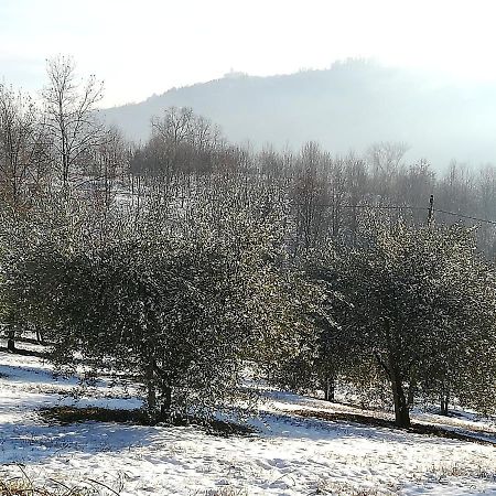 Sotto La Luna Bruna B&B Cocconato ภายนอก รูปภาพ
