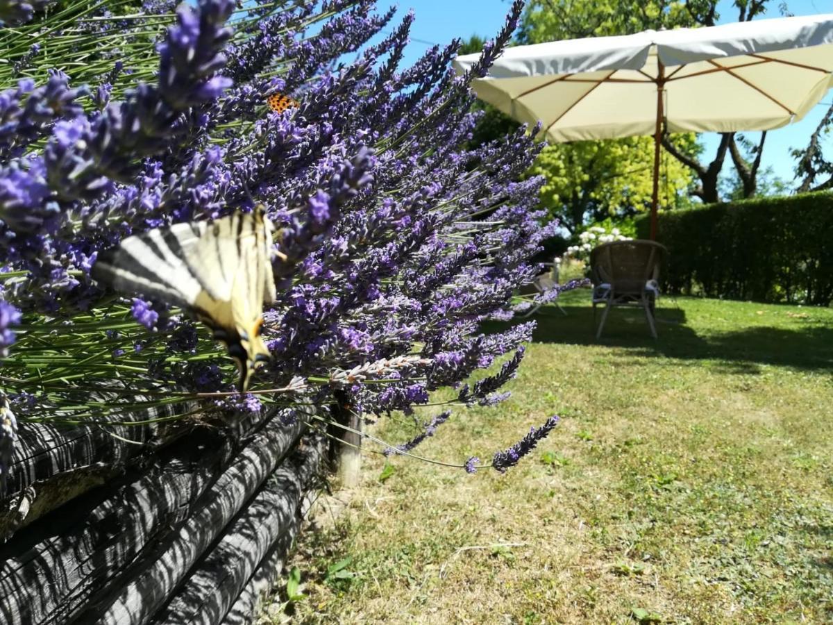 Sotto La Luna Bruna B&B Cocconato ภายนอก รูปภาพ