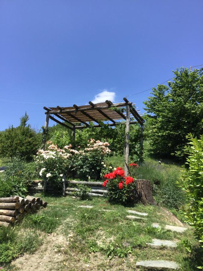Sotto La Luna Bruna B&B Cocconato ภายนอก รูปภาพ