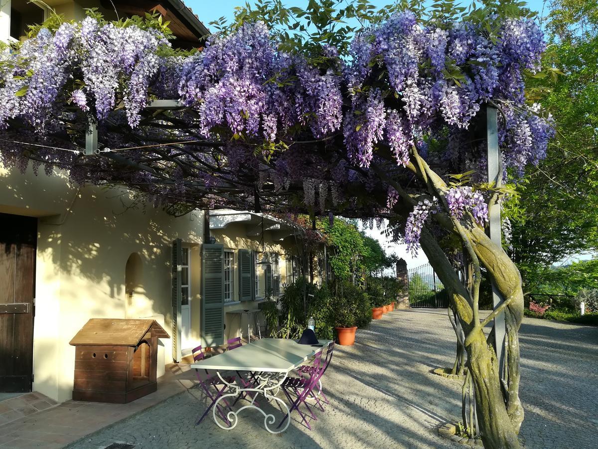 Sotto La Luna Bruna B&B Cocconato ภายนอก รูปภาพ