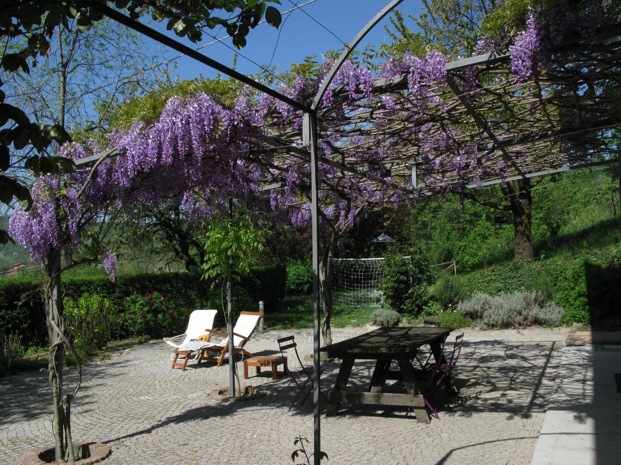 Sotto La Luna Bruna B&B Cocconato ภายนอก รูปภาพ