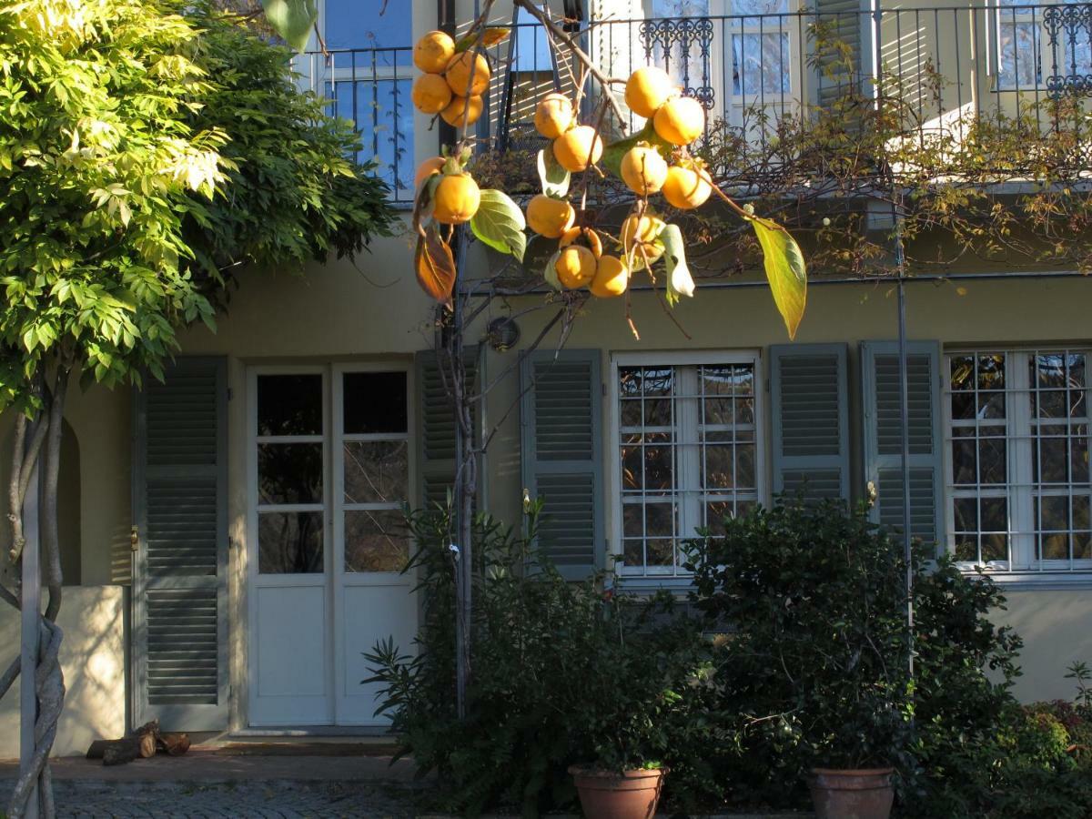 Sotto La Luna Bruna B&B Cocconato ภายนอก รูปภาพ