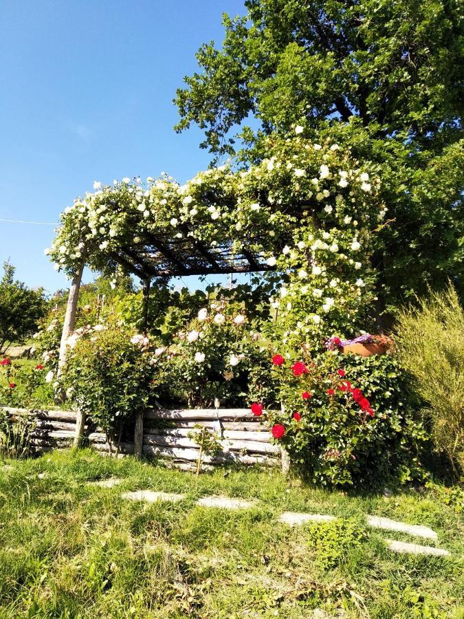 Sotto La Luna Bruna B&B Cocconato ภายนอก รูปภาพ